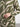 CAM-B5893-58A-VERDE-20260918125754