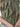 CAN-C220-672A-VERDE-20260513132454