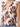 CAN-C5523-212A-MORO-20260721134007