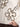 MAG-C5031A-BIANCO-20260930131919
