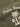 TSH-BMC502A-MILITARE-20260511103116